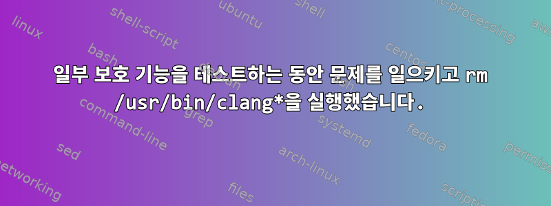 일부 보호 기능을 테스트하는 동안 문제를 일으키고 rm /usr/bin/clang*을 실행했습니다.