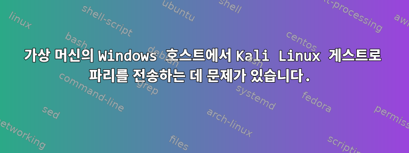 가상 머신의 Windows 호스트에서 Kali Linux 게스트로 파리를 전송하는 데 문제가 있습니다.