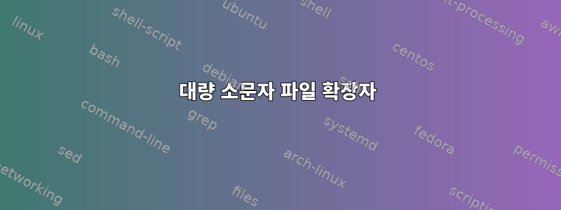 대량 소문자 파일 확장자