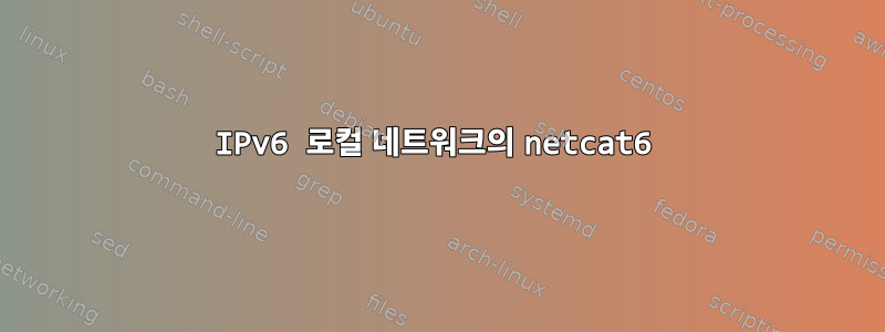 IPv6 로컬 네트워크의 netcat6