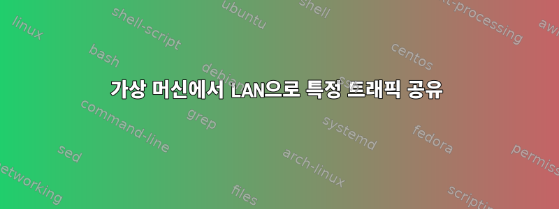 가상 머신에서 LAN으로 특정 트래픽 공유