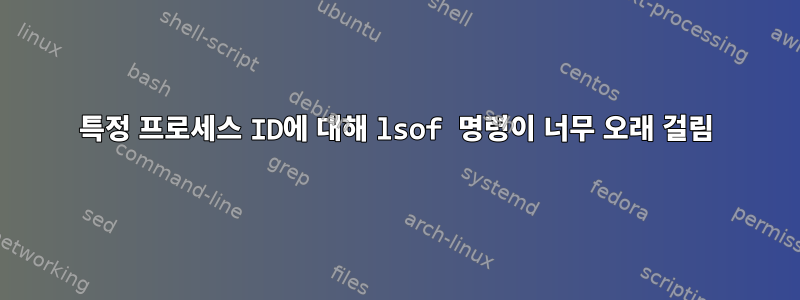 특정 프로세스 ID에 대해 lsof 명령이 너무 오래 걸림