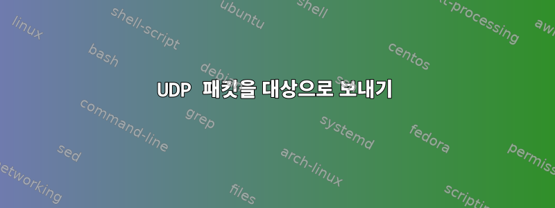 UDP 패킷을 대상으로 보내기