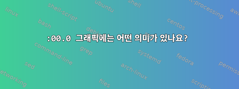 01:00.0 그래픽에는 어떤 의미가 있나요?