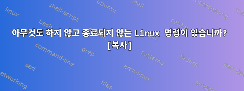 아무것도 하지 않고 종료되지 않는 Linux 명령이 있습니까? [복사]