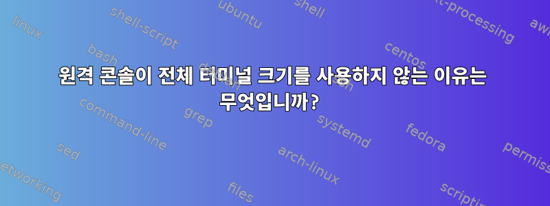 원격 콘솔이 전체 터미널 크기를 사용하지 않는 이유는 무엇입니까?