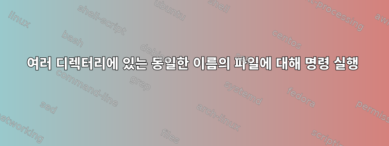 여러 디렉터리에 있는 동일한 이름의 파일에 대해 명령 실행