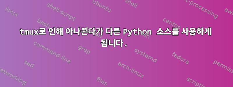 tmux로 인해 아나콘다가 다른 Python 소스를 사용하게 됩니다.