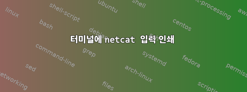 터미널에 netcat 입력 인쇄