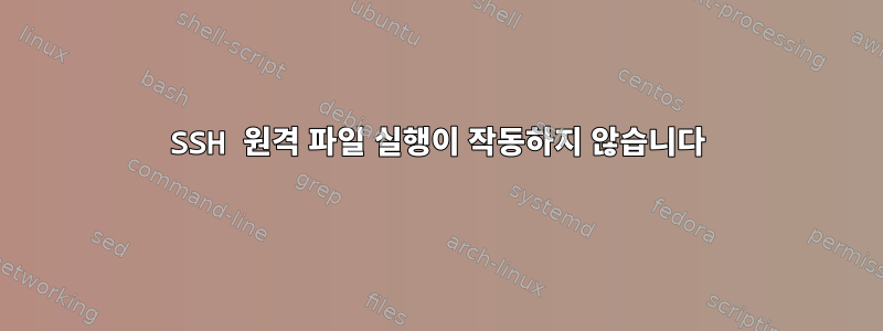 SSH 원격 파일 실행이 작동하지 않습니다