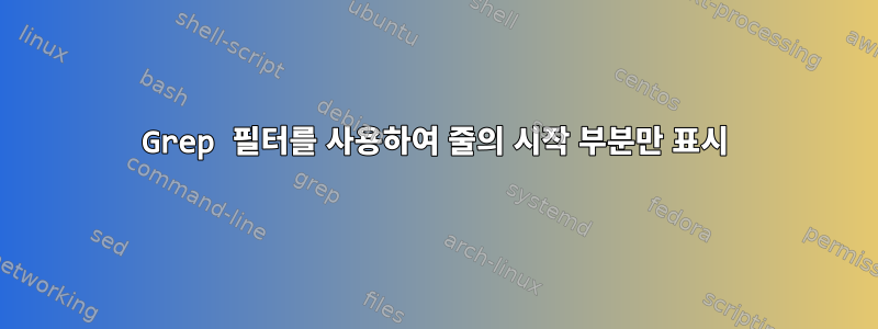 Grep 필터를 사용하여 줄의 시작 부분만 표시