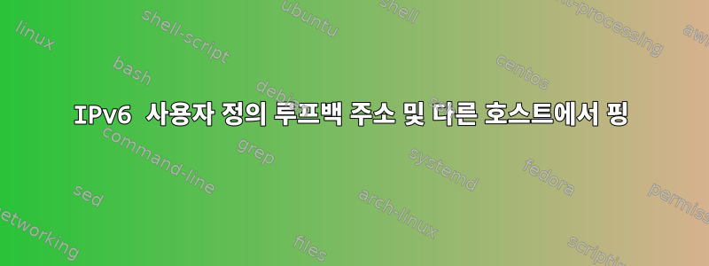 IPv6 사용자 정의 루프백 주소 및 다른 호스트에서 핑