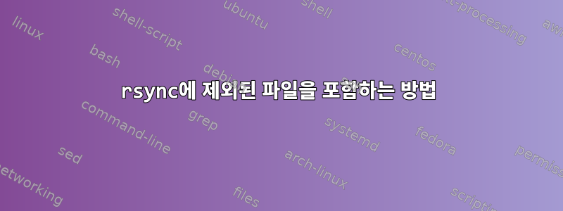 rsync에 제외된 파일을 포함하는 방법