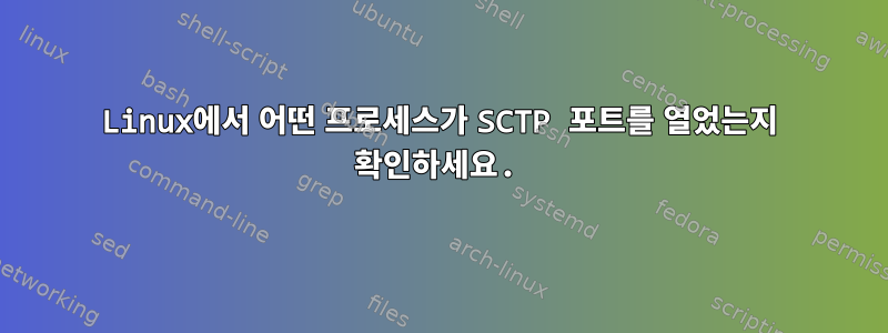 Linux에서 어떤 프로세스가 SCTP 포트를 열었는지 확인하세요.