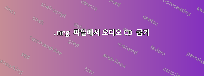 .nrg 파일에서 오디오 CD 굽기