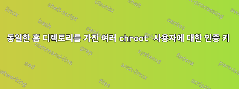 동일한 홈 디렉토리를 가진 여러 chroot 사용자에 대한 인증 키