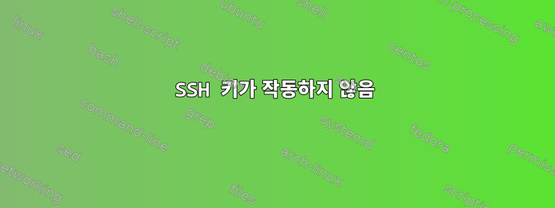 SSH 키가 작동하지 않음