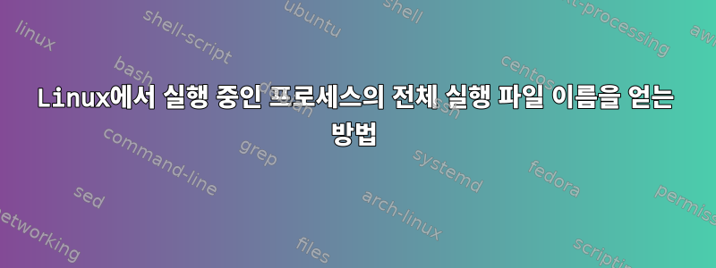 Linux에서 실행 중인 프로세스의 전체 실행 파일 이름을 얻는 방법