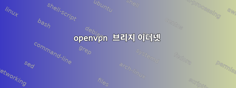 openvpn 브리지 이더넷