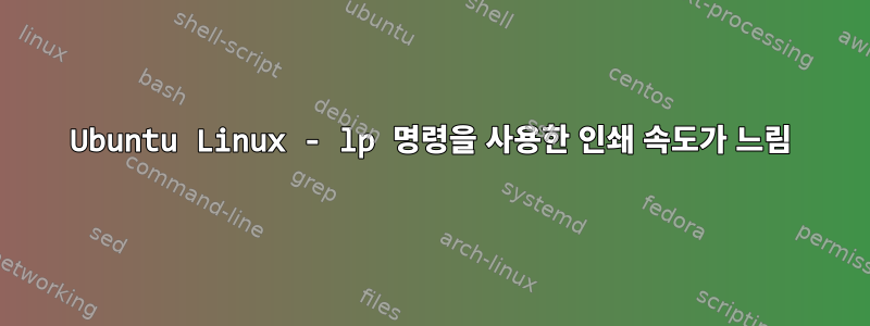 Ubuntu Linux - lp 명령을 사용한 인쇄 속도가 느림