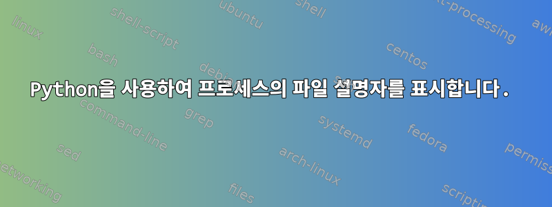 Python을 사용하여 프로세스의 파일 설명자를 표시합니다.