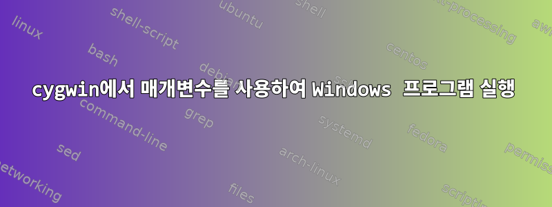 cygwin에서 매개변수를 사용하여 Windows 프로그램 실행