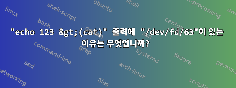 "echo 123 &gt;(cat)" 출력에 "/dev/fd/63"이 있는 이유는 무엇입니까?