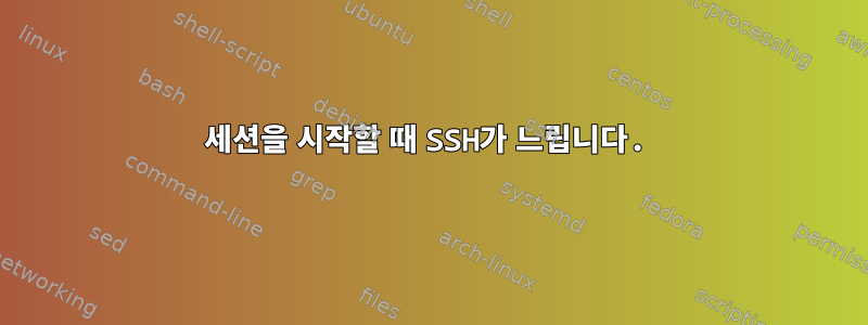 세션을 시작할 때 SSH가 느립니다.