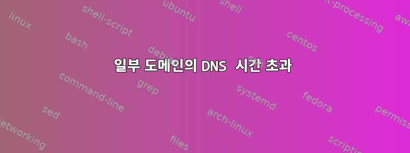 일부 도메인의 DNS 시간 초과