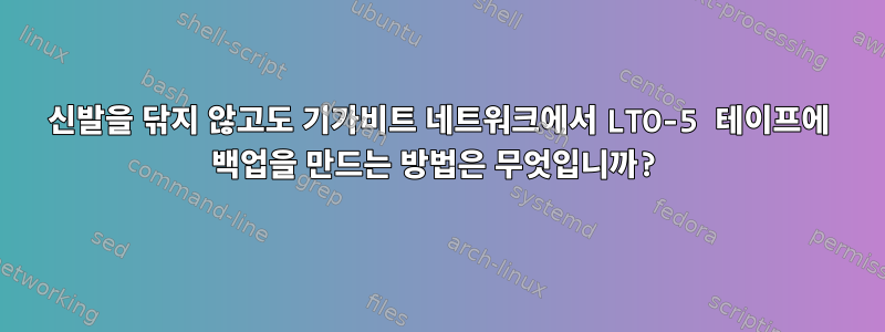 신발을 닦지 않고도 기가비트 네트워크에서 LTO-5 테이프에 백업을 만드는 방법은 무엇입니까?