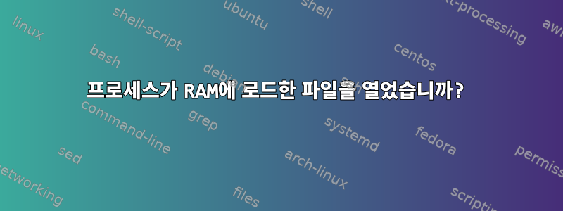 프로세스가 RAM에 로드한 파일을 열었습니까?