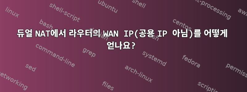 듀얼 NAT에서 라우터의 WAN IP(공용 IP 아님)를 어떻게 얻나요?