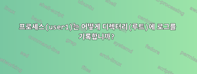 프로세스(user1)는 어떻게 디렉터리(루트)에 로그를 기록합니까?