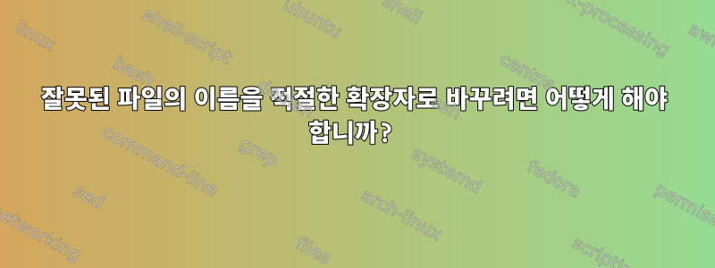 잘못된 파일의 이름을 적절한 확장자로 바꾸려면 어떻게 해야 합니까?