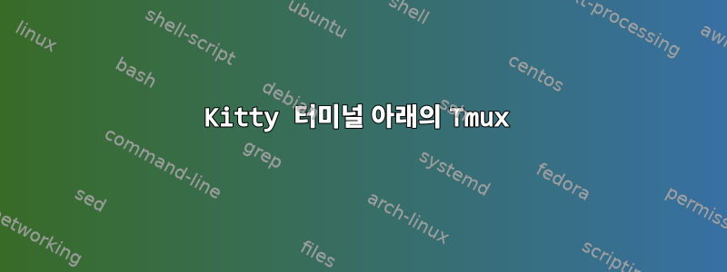 Kitty 터미널 아래의 Tmux