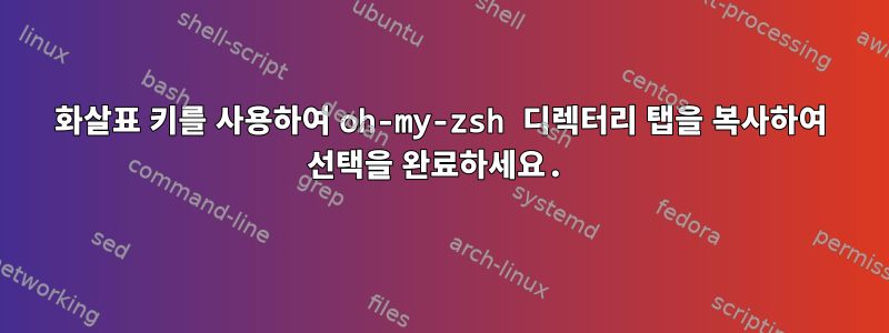 화살표 키를 사용하여 oh-my-zsh 디렉터리 탭을 복사하여 선택을 완료하세요.