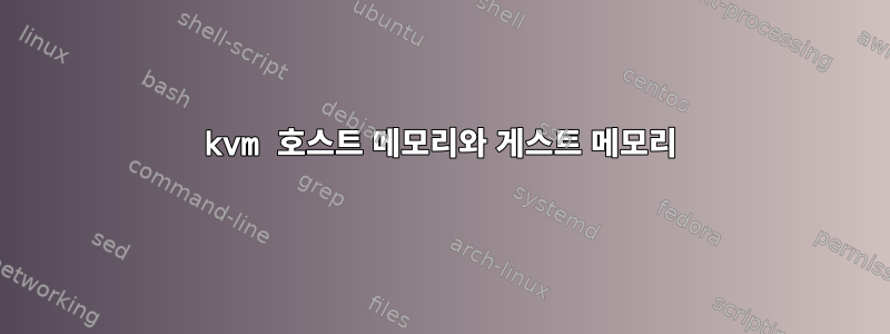 kvm 호스트 메모리와 게스트 메모리