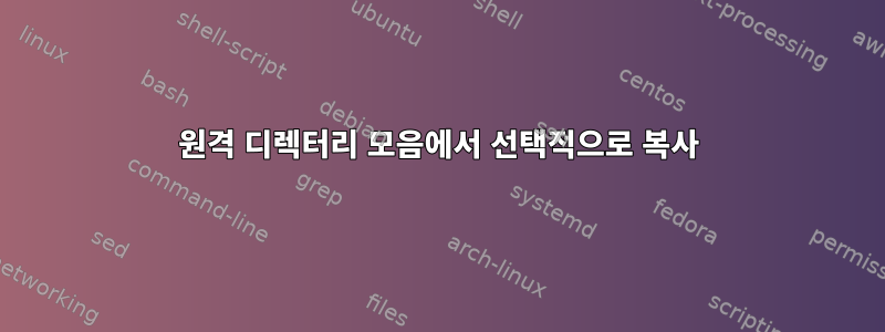 원격 디렉터리 모음에서 선택적으로 복사