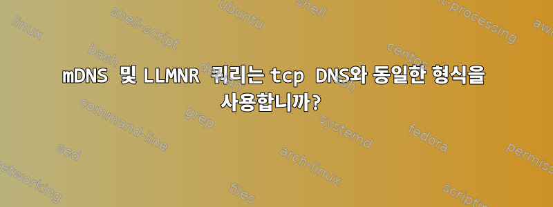 mDNS 및 LLMNR 쿼리는 tcp DNS와 동일한 형식을 사용합니까?