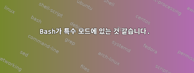 Bash가 특수 모드에 있는 것 같습니다.