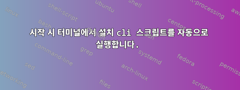 시작 시 터미널에서 설치 cli 스크립트를 자동으로 실행합니다.