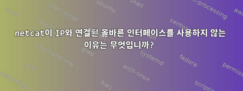 netcat이 IP와 연결된 올바른 인터페이스를 사용하지 않는 이유는 무엇입니까?