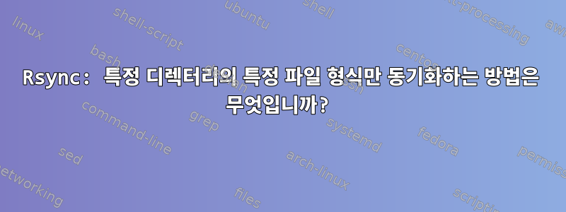 Rsync: 특정 디렉터리의 특정 파일 형식만 동기화하는 방법은 무엇입니까?