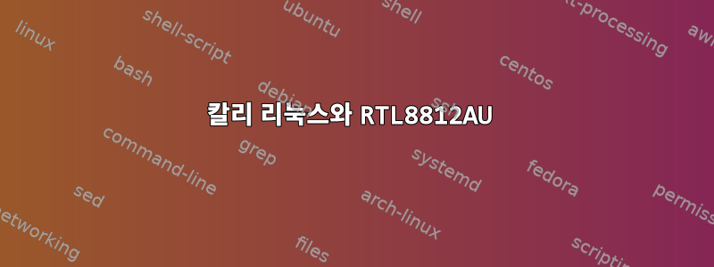 칼리 리눅스와 RTL8812AU