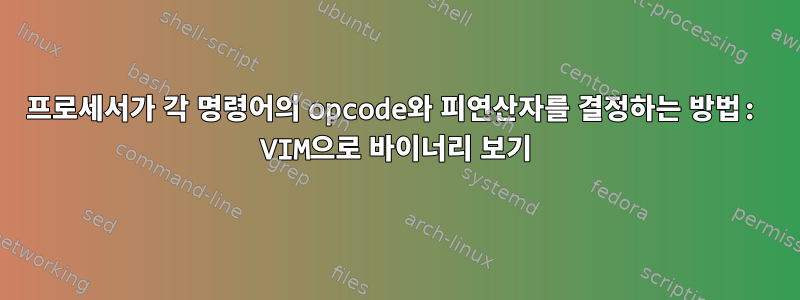 프로세서가 각 명령어의 opcode와 피연산자를 결정하는 방법: VIM으로 바이너리 보기