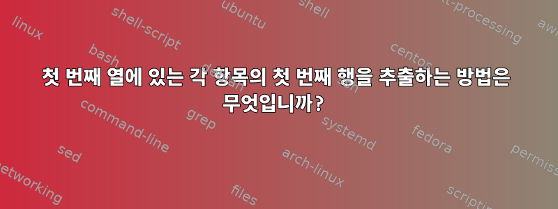 첫 번째 열에 있는 각 항목의 첫 번째 행을 추출하는 방법은 무엇입니까?