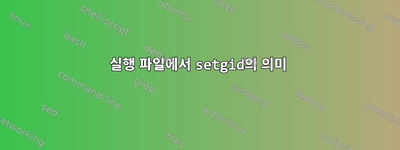 실행 파일에서 setgid의 의미