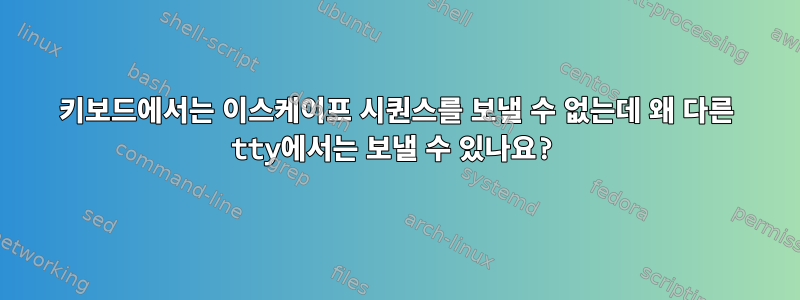 키보드에서는 이스케이프 시퀀스를 보낼 수 없는데 왜 다른 tty에서는 보낼 수 있나요?