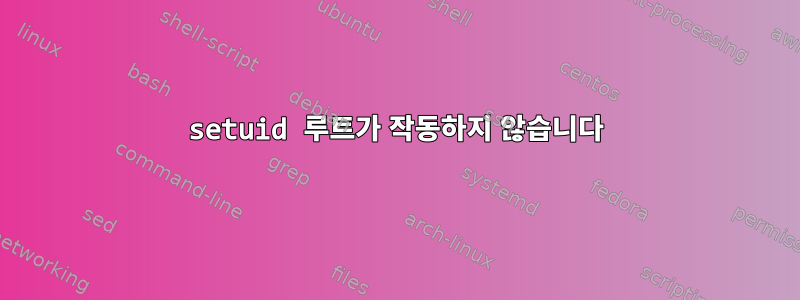 setuid 루트가 작동하지 않습니다