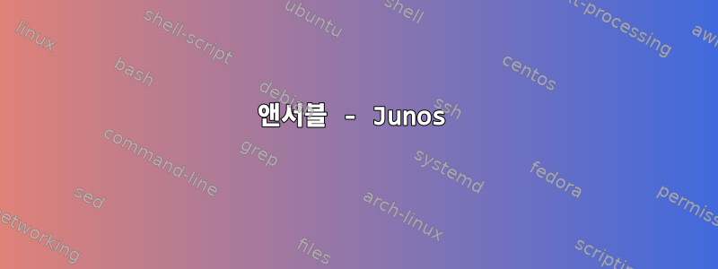 앤서블 - Junos